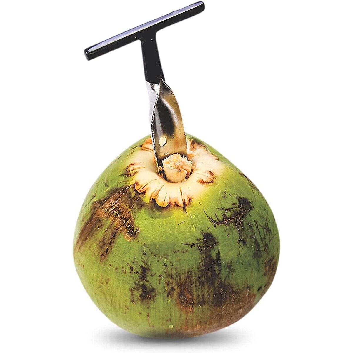 Coconut Opener Tool Stainless Steel